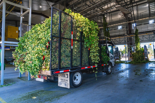 Chasin’ Freshies: Celebrating the Pacific Northwest Fresh Hop Season
