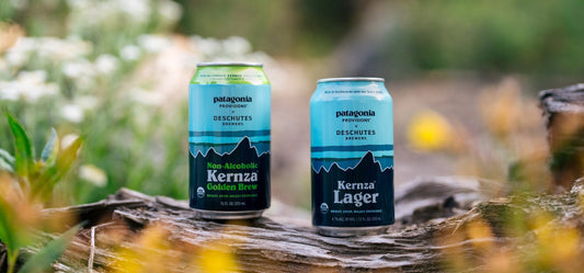 Exploring Kernza®: A soil-saving, carbon-capturing perennial grain