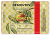Cellar Door Society Exclusive - Summer Saison