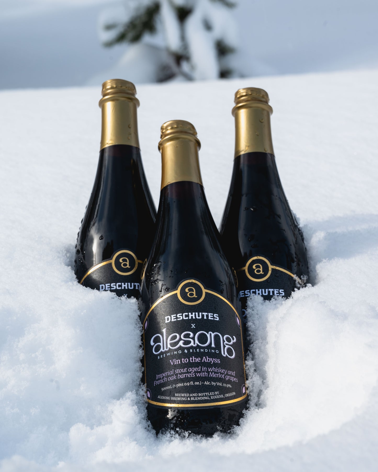 Three bottles of Deschutes Alesong beer in the snow with a snowy landscape in the background.